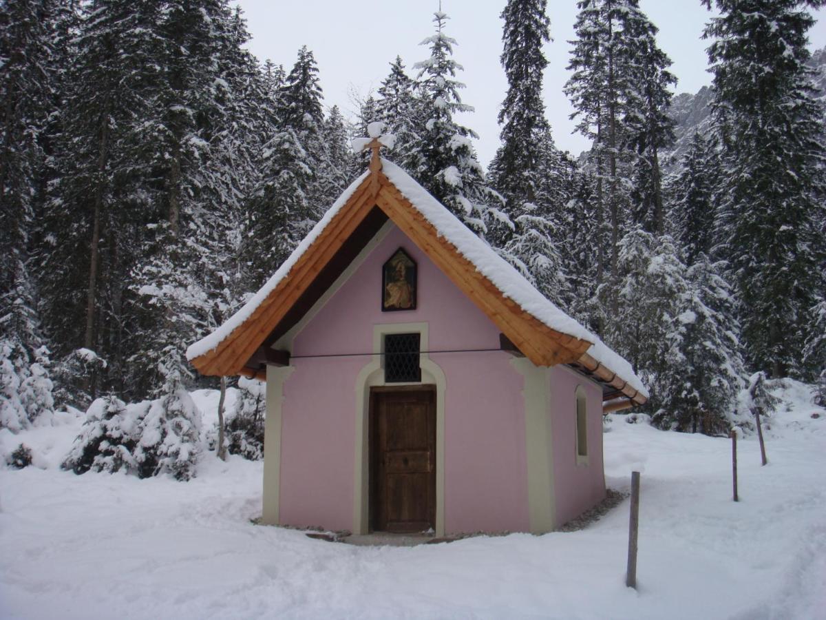 Steiner Appartements, Pension, Ellmau&Wilder Kaiser Exterior foto